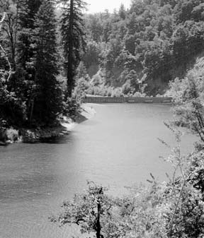 [photo of Benbow Lake full]