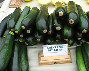 photo of zucchini squash, "great for grilling!"