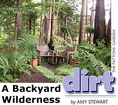 Heading: Dirt, by Amy Stewart, A backyard wilderness, photo of the Pattons' garden
