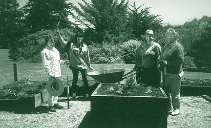 [photo of garden volunteers]