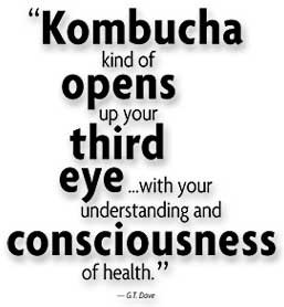 Quote "Kombucha kind of opens uop your third eye"
