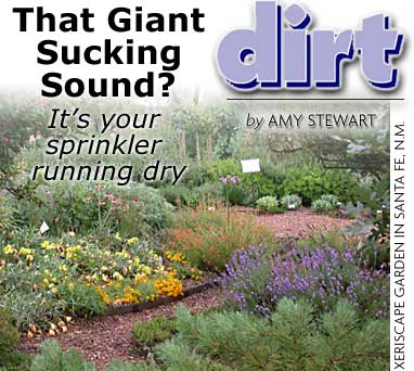 HEADING: DIRT: That giant sucking sound? It's your sprinker running dry, photo of xeriscape garden in Santa Fe, New Mexico by Amy Stewart.