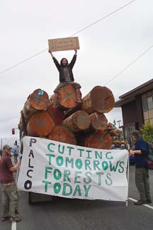 [protester on top of logs in logging truck, holding sign "forests forever" and two men holding banner in foreground "Palco - cutting tomorrow's forests today"]