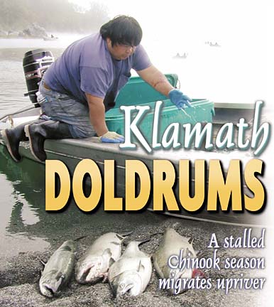 KLAMATH DOLDRUMS A stalled chinook season migrates upriver [photo of Sonny Dows, a Yurok subsistence fisherman]