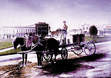 hand-colored photo of two-horse milk cart with driver, Arcata Plaza in the background, with McKinley statue and Jacoby's Storehouse in view.