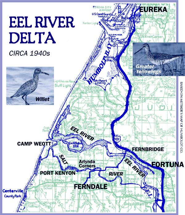 [Map of Eel River Delta, circa 1940s, depicting area from Eureka to Centerville, Eel River, Salt River, Port Kenyon, Camp Weott, Ferndale, Fernbridge, Fortuna and Arlynda Corners]