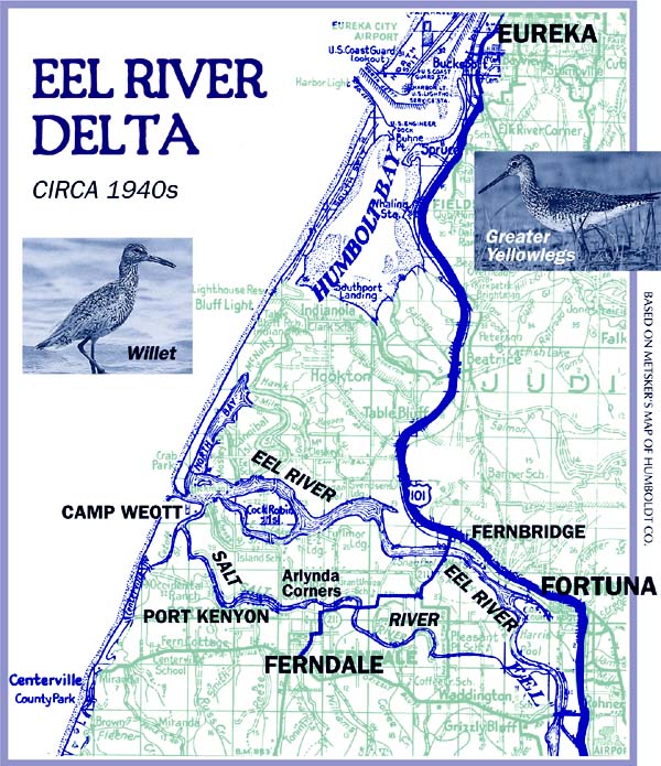 [Map of Eel River Delta, circa 1940s, depicting area from Eureka to Centerville, Eel River, Salt River, Port Kenyon, Camp Weott, Ferndale, Fernbridge, Fortuna and Arlynda Corners]