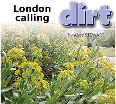 Heading: Dirt, London Calling, by Amy Stewart