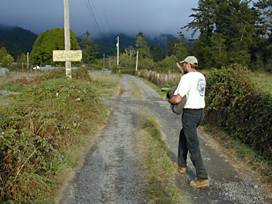 PHOTO OF ERNIE HATFIELD WALKING HOME WITH AN ARMFUL OF PRODUCE FROM HIS NEIGHBOR, THE ARCATA EDUCATIONAL FARM. PHOTO BY HEIDI WALTERS