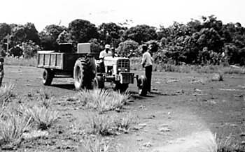 tractor and people in field