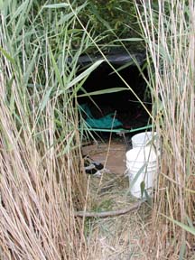 encampment in marshgrass, showing buckets and bedding