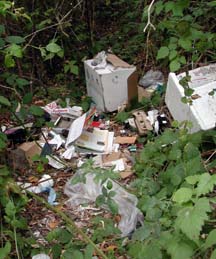 Garbage on ground in marsh