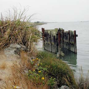 Tidal gates at edge of water