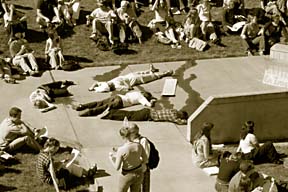 war protestors lying prone at HSU campus