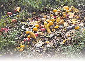 photo of rotting produce