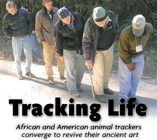 heading: Tracking Life: African and American animal trackers converge to revive their ancient art, photo of people examining tracks in the dirt.