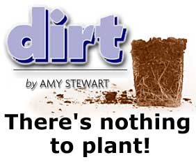 Heading: Dirt, There's nothing to plant! by Amy Stewart