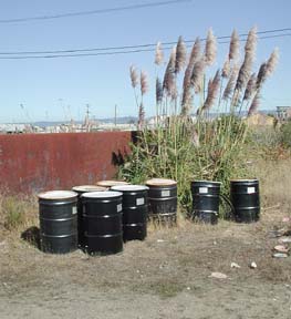 [oil barrels, refuse, pampas grass on Balloon Track property]