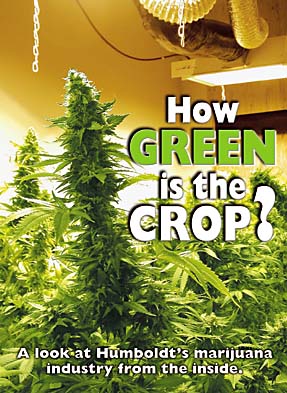 How green is the crop? A look at Humboldt's marijuana industry from the inside.
