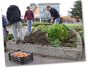 photo of people gardening on the Arcata Plaza