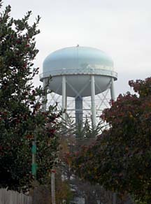 Water tower looming up from behind trees