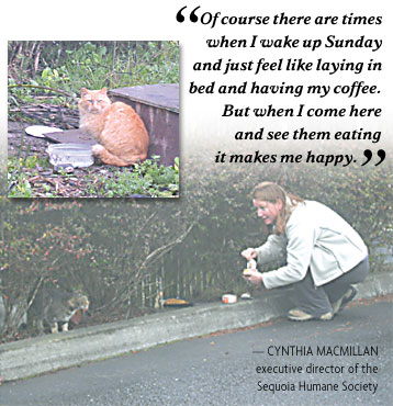photo of Cynthia MacMillan, executive director of the Sequoia Humane Society, feeding feral cats in Old Town