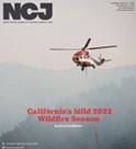 California’s Mild 2022 Wildfire Season