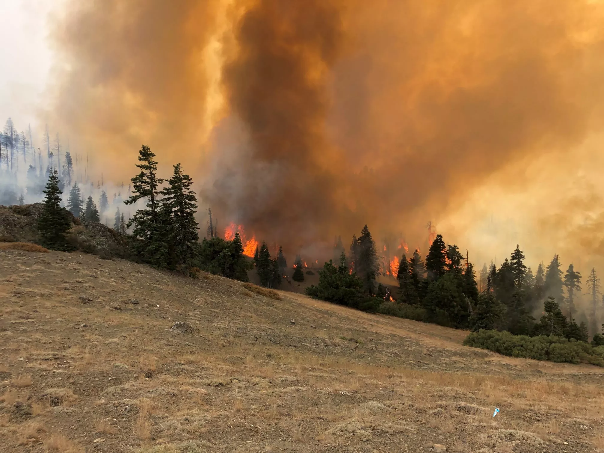 SECOND UPDATE: Heightened Fire Conditions Expected for August Complex