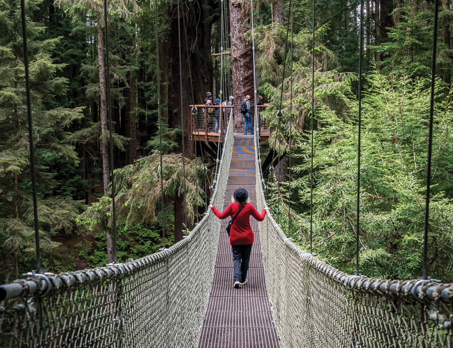 Not Strictly for Tourists