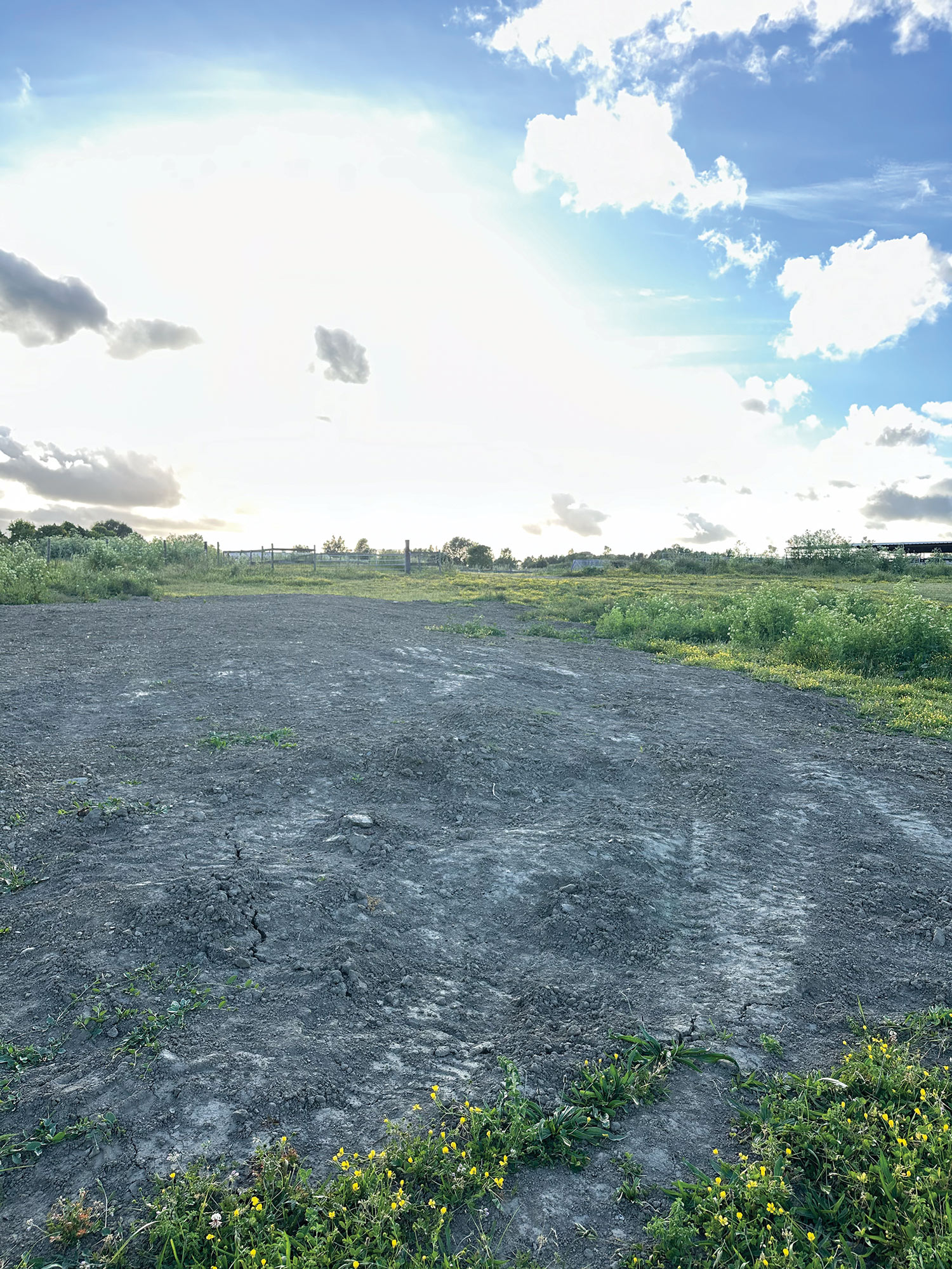 Sheriff’s Office: Remains of More than 100 Dogs Uncovered at Miranda’s Rescue, Investigation Continues - North Coast Journal