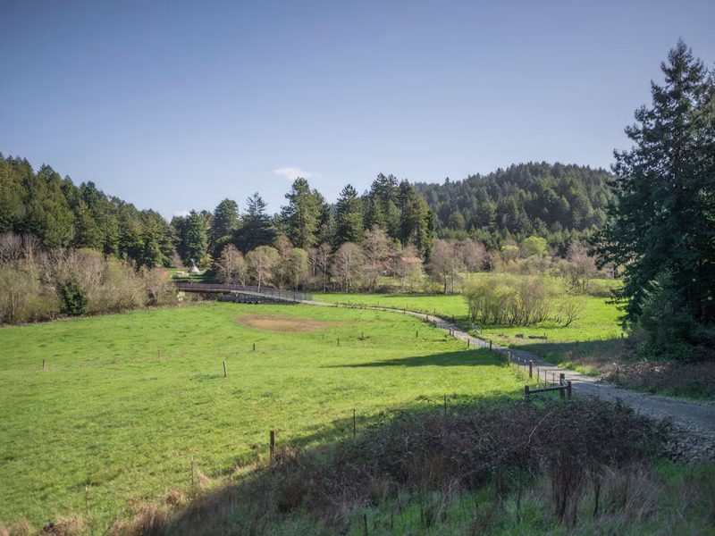 Save the Redwoods League Secures Permanent Protection for Land Adjacent to Headwaters Forest Reserve